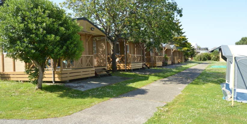 Camping El Carbayin web